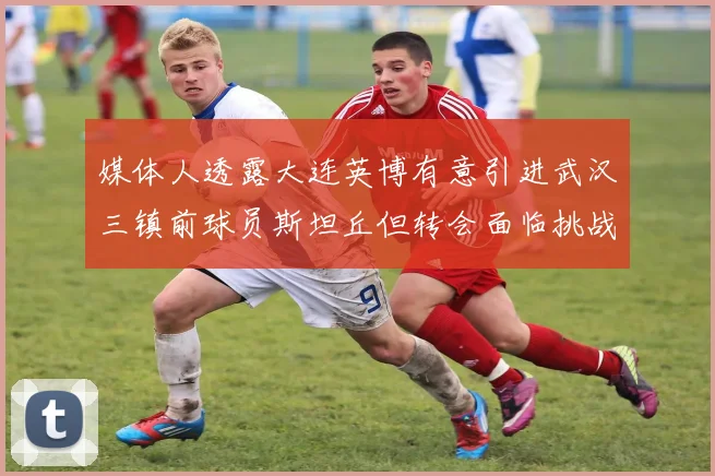 媒体人透露大连英博有意引进武汉三镇前球员斯坦丘但转会面临挑战