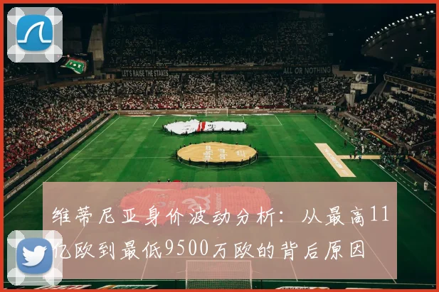维蒂尼亚身价波动分析：从最高11亿欧到最低9500万欧的背后原因