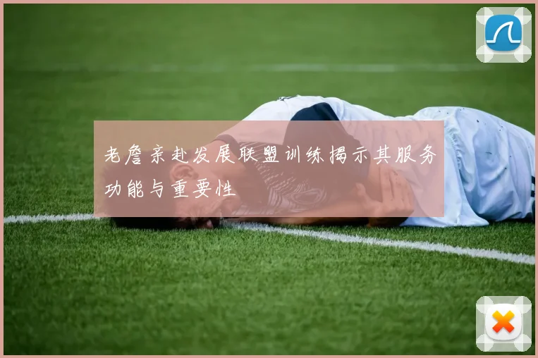 老詹亲赴发展联盟训练揭示其服务功能与重要性