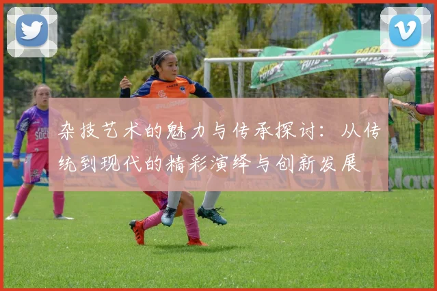 杂技艺术的魅力与传承探讨：从传统到现代的精彩演绎与创新发展