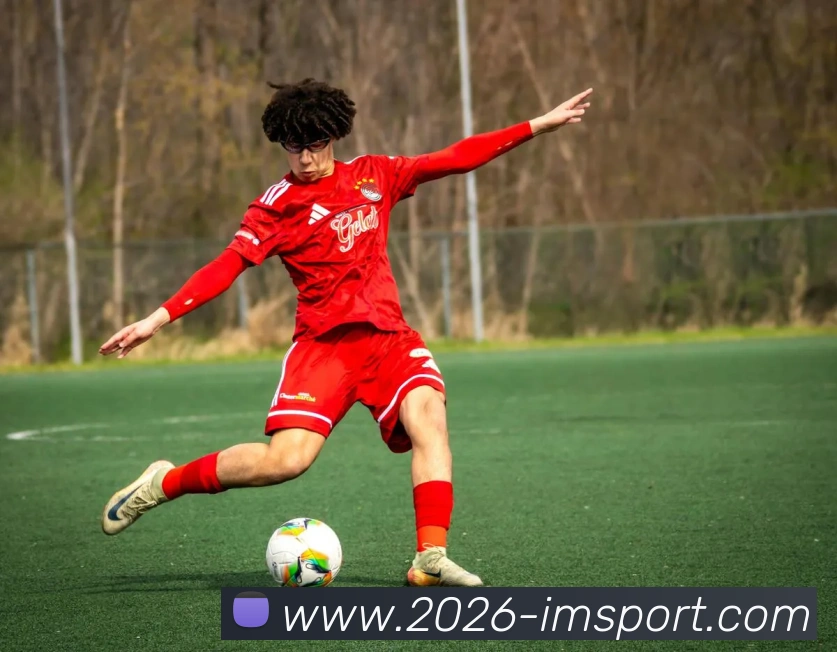 IM体育发展历程